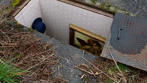 Guri de canal preschimbate în Camere Secrete. Dedicaţie boschetarilor din Bucureşti - FOTO