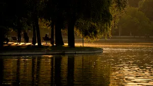 Robert Negoiță a retras proiectele privind modernizarea Parcului IOR de pe ordinea de zi a ședinței de azi