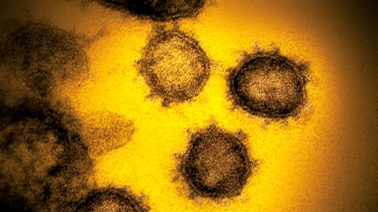Coronavirus în România LIVE UPDATE 26 iunie. Mai puţin de 100 de cazuri raportate în ultimele 24 de ore. Număr mare de persoane internate la ATI. Nou bilanţ COVID-19
