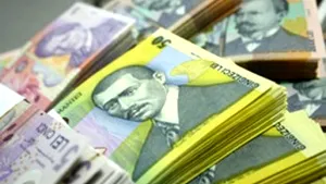 Romanian Govt-Run Agency Heads Earn Up To RON13,838, Drivers Get Up To RON3,517