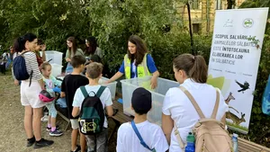 PENNY sprijină proiecte de biodiversitate urbană prin Runda IV a Platformei de mediu pentru București