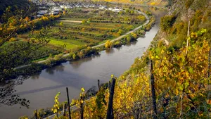 Ziua Prosecco. Cum a ajuns un vin apreciat de romani cunoscut în lume de abia în secolul XXI