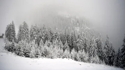 SOCIAL Italia: Doi alpiniști români au murit după ce au căzut într-o crevasă pe masivul Gran Paradiso din Munții Alpi
