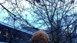 Mai multe autocare cu simpatizanţi PSD au ajuns în Capitală pentru parada de 1 Decembrie / 