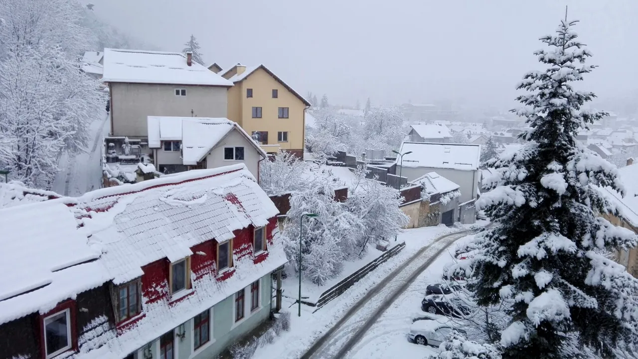 COD GALBEN de ninsori, sâmbătă. Zonele vizate de avertizarea meteorologilor / Zăpadă abundentă pe DN67C Novaci -Rânca | LIVE VIDEO