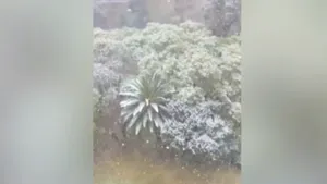 Vremea a luat-o razna: a nins după 10 ani în Africa de Sud