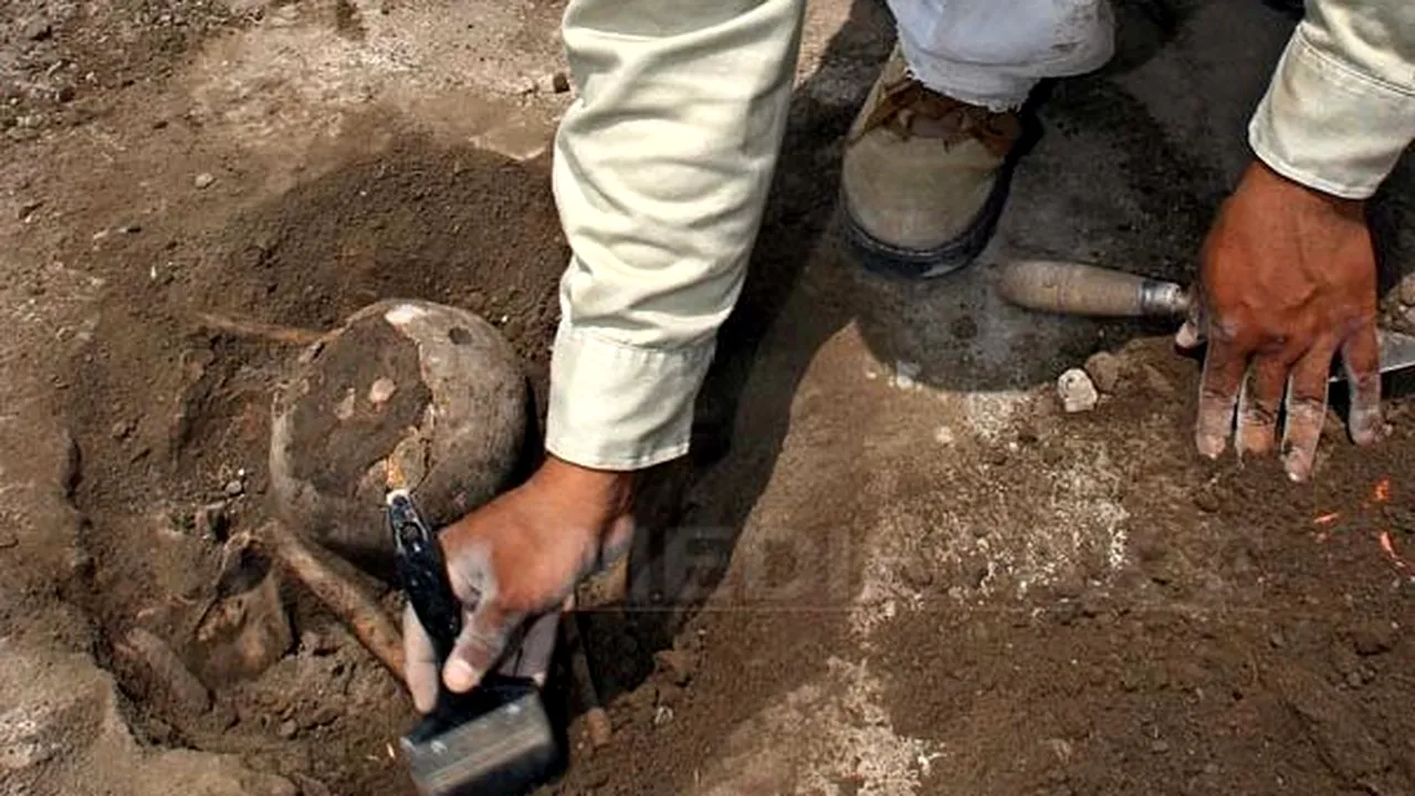Fragmente de craniu şi colţi ai unui animal preistoric, descoperiţi în judeţul Covasna