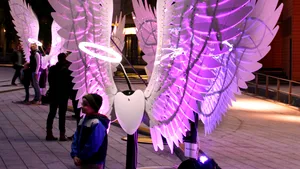 Festivalul Spotlight: 3D Selfie, proiecţii pe cladiri, controlate de participanţi şi concert Zoli Toth, în perioada 5 - 8 mai