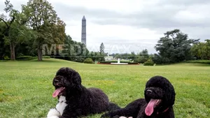 Familia Obama şi-a luat un al doilea căţel - VIDEO