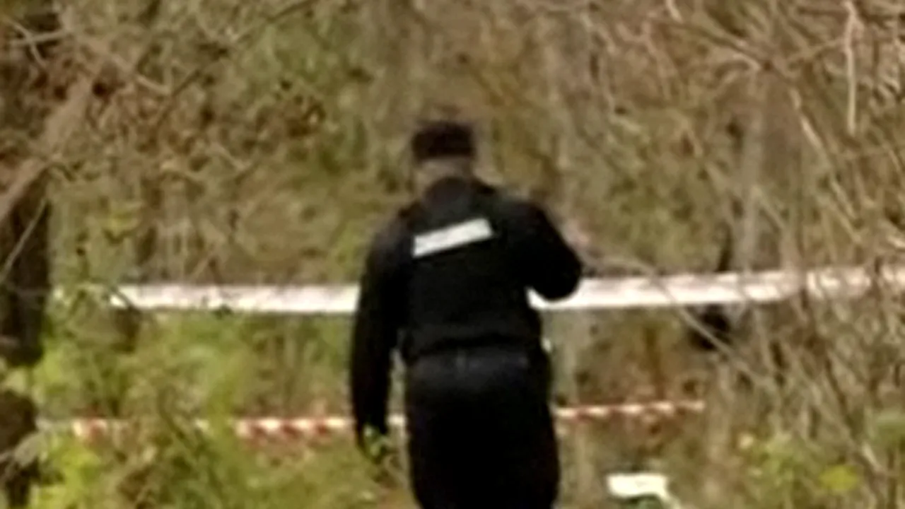 Schelete umane găsite într-o groapă comună din judeţul Iaşi - VIDEO