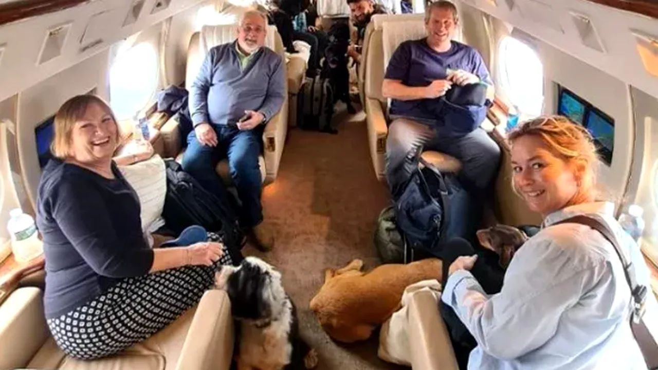 Avion privat pentru câinii superbogaţilor: un bilet costă până la 9400 de euro

