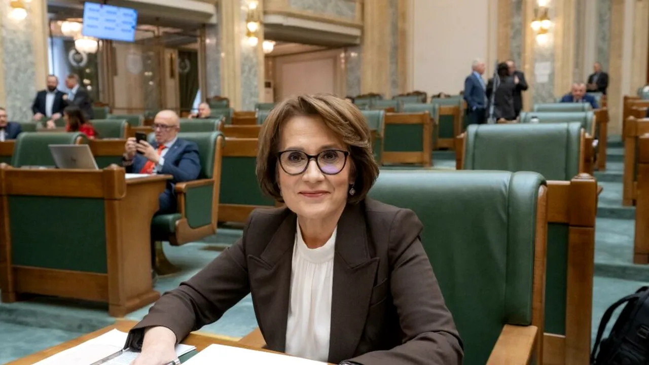 Senator PNL: Solidaritatea între aliați contează. România nu oferă un CEC în alb nimănui