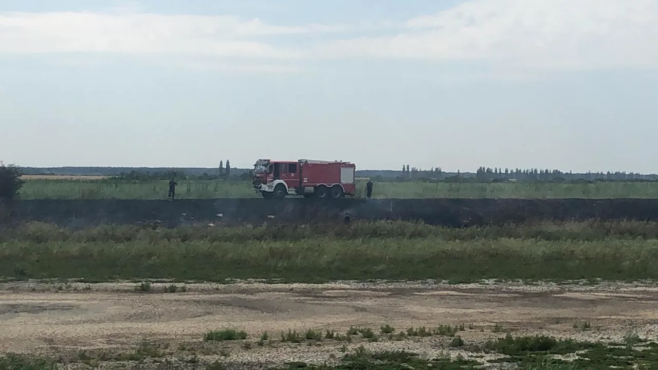 Incediu de vegetaţie lângă Bucureşti, în Periş: au ars circa 10 hectare de teren. Avertismentul emis de ANM