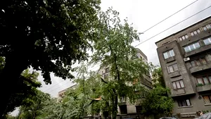 Arad: O furtună a rupt copaci, a avariat maşini şi a lăsat 48 de localităţi fără electricitate