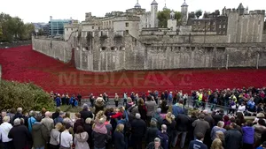 Patru români, condamnaţi pentru că au furat monede aruncate de turişti la Turnul Londrei