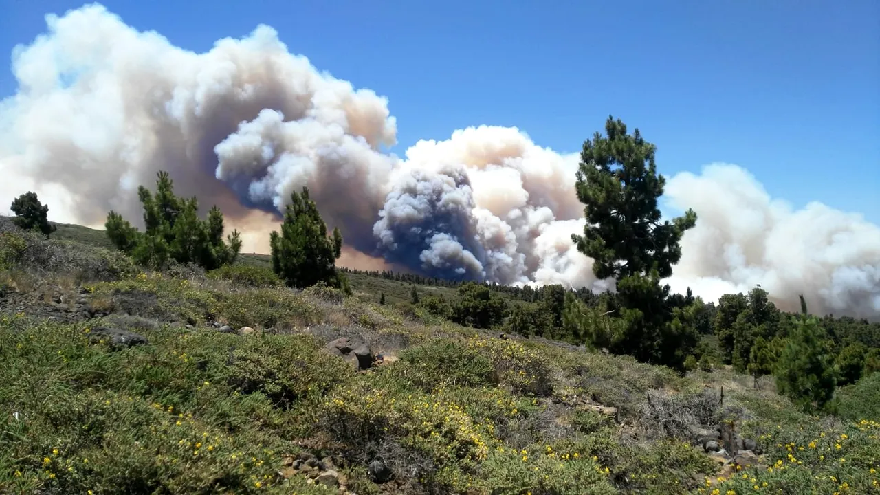 Incendiu de vegetaţie pe insula La Palma. Autorităţile spaniole au evacuat 500 de persoane