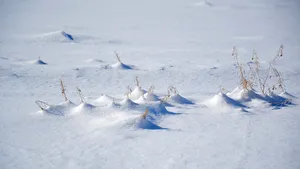 „Ciudăţenii” formate în urma unui fenomen meteo foarte rar: Seamănă cu nişte căpiţe de fân | FOTO