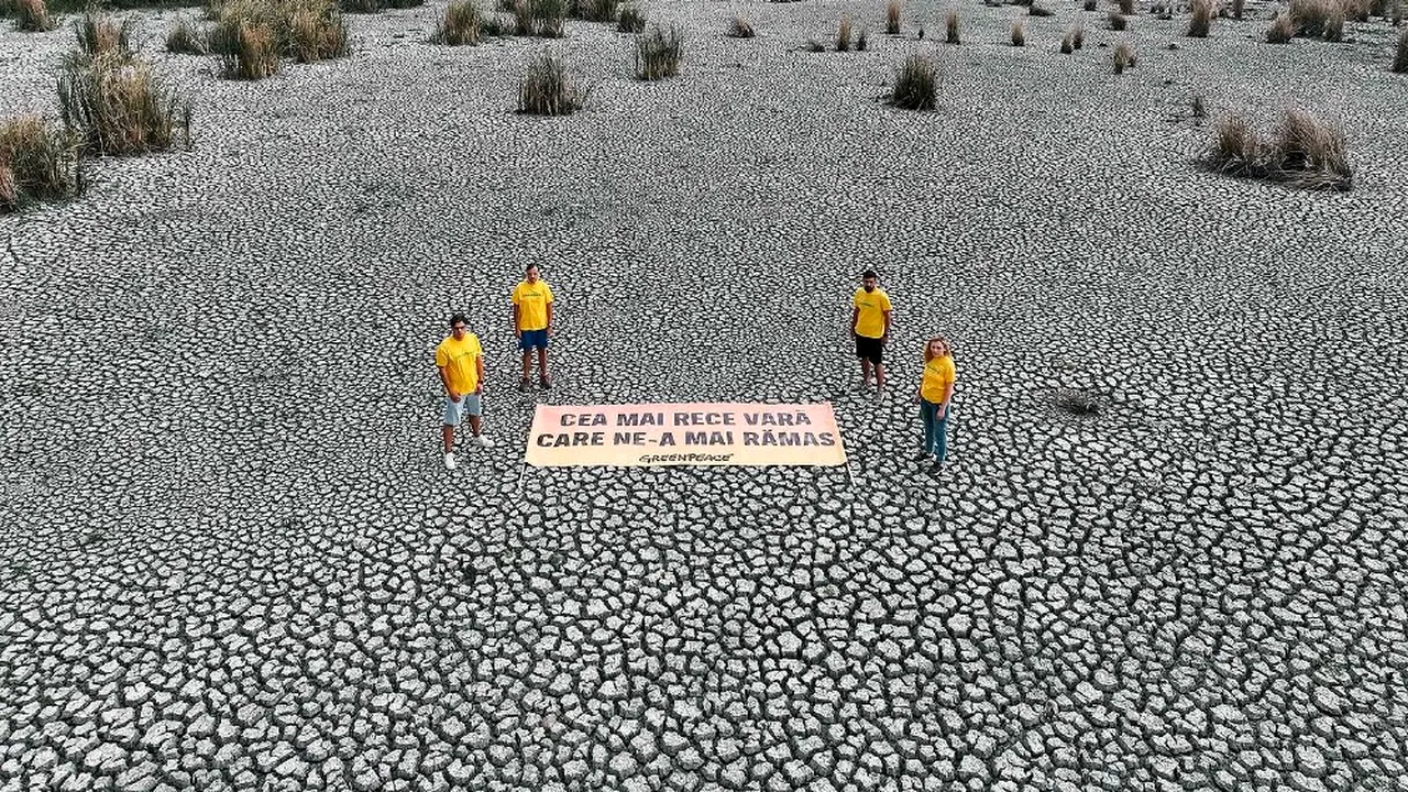 Protest Greenpeace în albia secată a Parcului Natural Comana: Viitorul rămâne fără apă