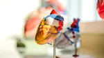 Studiu: O nouă soluție în reducerea riscului de stop cardiac brusc. Sortimentul alcoolic care dă peste cap sfaturile existente