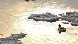 VREMEA se încălzeşte treptat. PROGNOZA METEO pentru miercuri şi joi, în ţară şi în Capitală