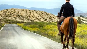 Inedit: călăreţ amendat pentru că vorbea la telefon fără hands-free / Ce viteză avea calul