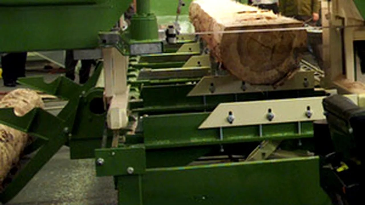 Austria’s Holzindustrie Schweighofer Buys Former Swedwood Plant N Romania