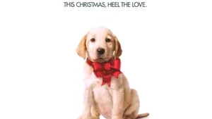 Filmul 