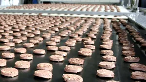 O companie din Turcia va investi 40 milioane euro într-o fabrică de biscuiţi şi prăjituri la Craiova