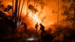 Spania: Incendiile de vegetație au ars aproximativ 50.000 de hectare de teren în ultimul an