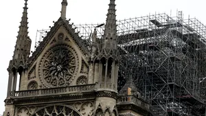 Veşti extraordinare de la Catedrala Notre-Dame. Cele 200.000 de albine care trăiau pe acoperiş au scăpat cu viaţă în urma incendiului | FOTO