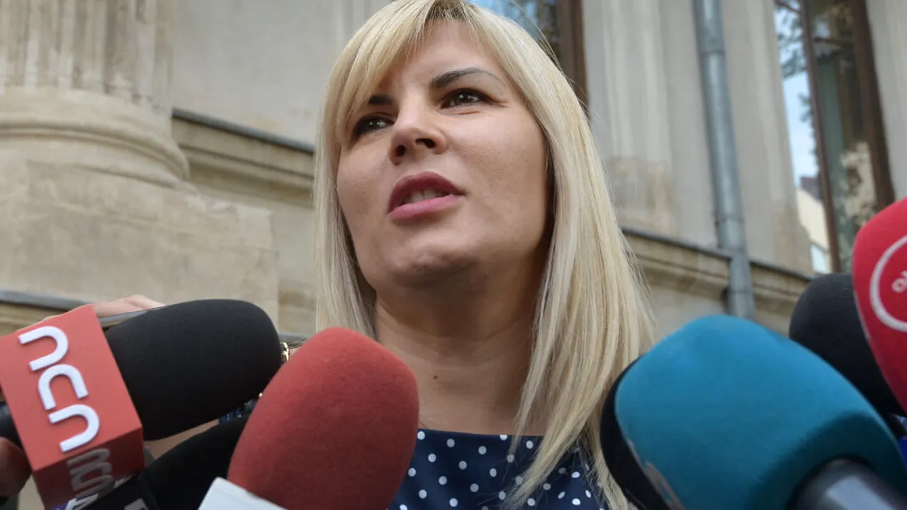 Elena Udrea ar putea ieși din închisoare cu 8 luni mai devreme
