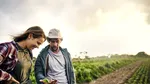 Inovând împreună cu natura: Un nou capitol în ameliorarea plantelor