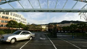 Studiourile Disney intenţionează să dea afară 250 de angajaţi