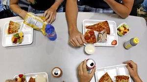 Pizza, shaorma sau apa minerală scapă de taxa pe fast food