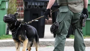 Un jucător de fotbal american a fost arestat pentru că a lătrat la un câine al poliţiei