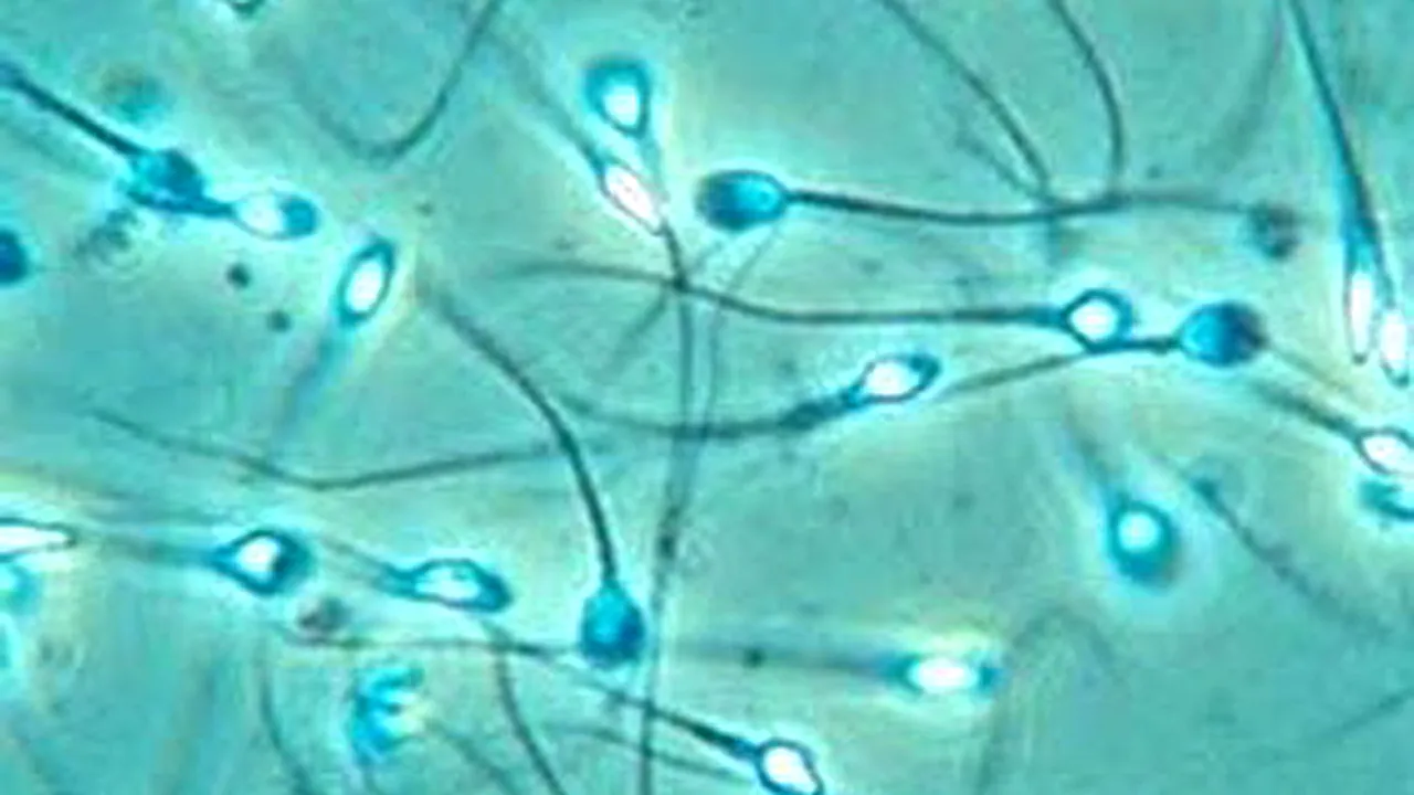 Cola poate afecta calitatea spermei
