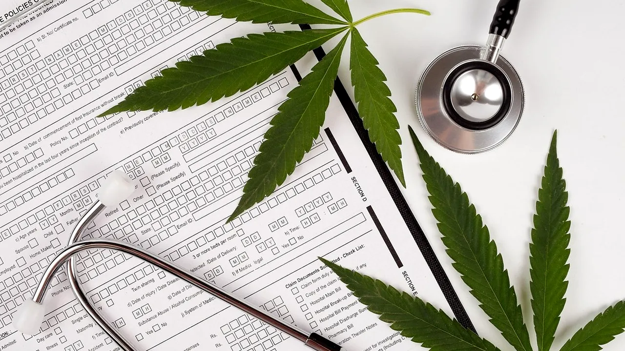 Legalizarea canabisului în România. Controversatul proiect de lege a ajuns în Camera Deputaţilor 