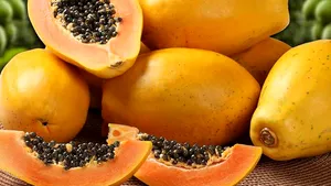 Cel puţin 100 de persoane din SUA, infectate cu Salmonella din cauza unui fruct importat din Mexic