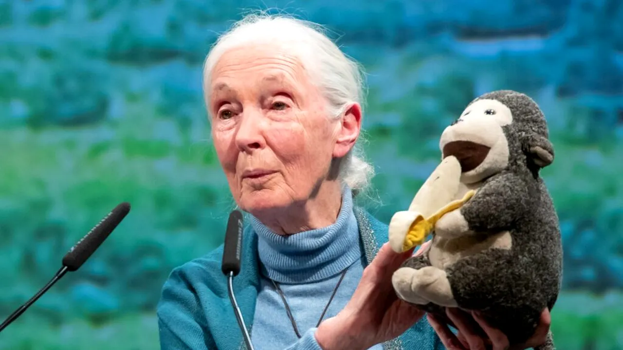 Jane Goodall, renumita expertă în cimpanzei, a murit la 91 de ani