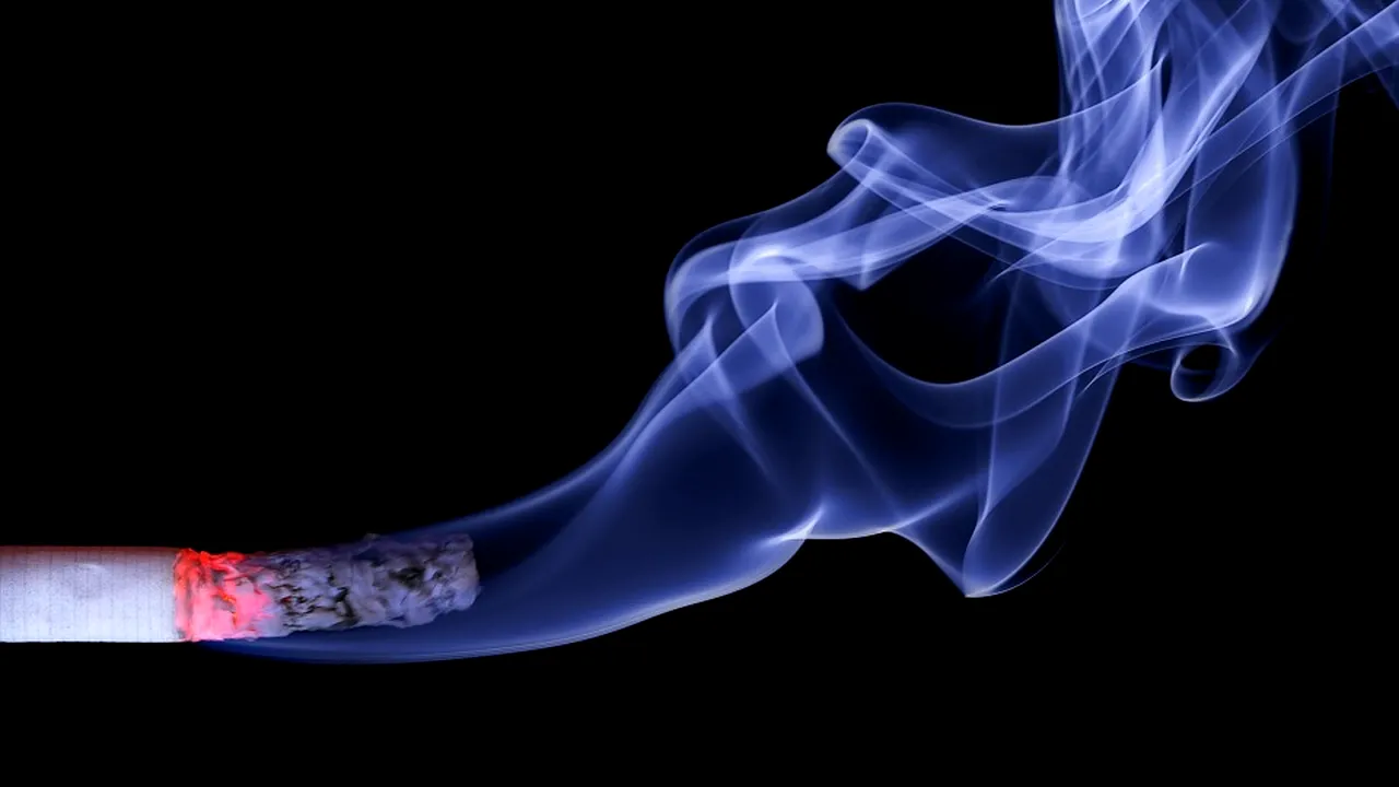 Bătrână de 87 de ani din judeţul Timiş, moartă într-un incendiu, după ce a adormit cu ţigara aprinsă