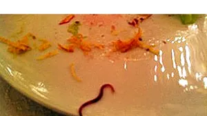 Un guvernator rus a găsit o râmă în salată, la o recepţie oficială de la Kremlin