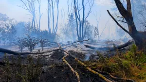 Incendiu în Chilia Veche: Pompierii vor relua acţiunile de stingere sâmbătă dimineaţă