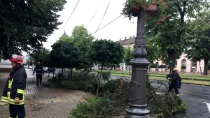 Furtună PUTERNICĂ în Arad, cu acoperişuri smulse şi copaci rupţi - FOTO
