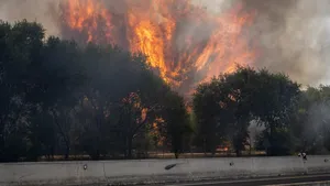 Spania declară stare de urgență, după ce incendiile de pădure au dus la evacuarea a 10.000 de persoane