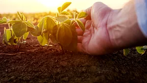 Corteva Agriscience: Creştere de 40% în vânzările de Protecţia Plantelor în România