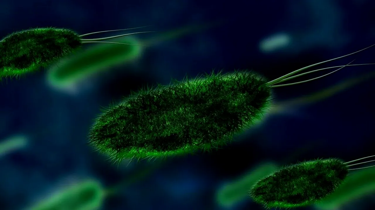 Noile moduri surprinzătoare prin care se răspândesc bacteriile
