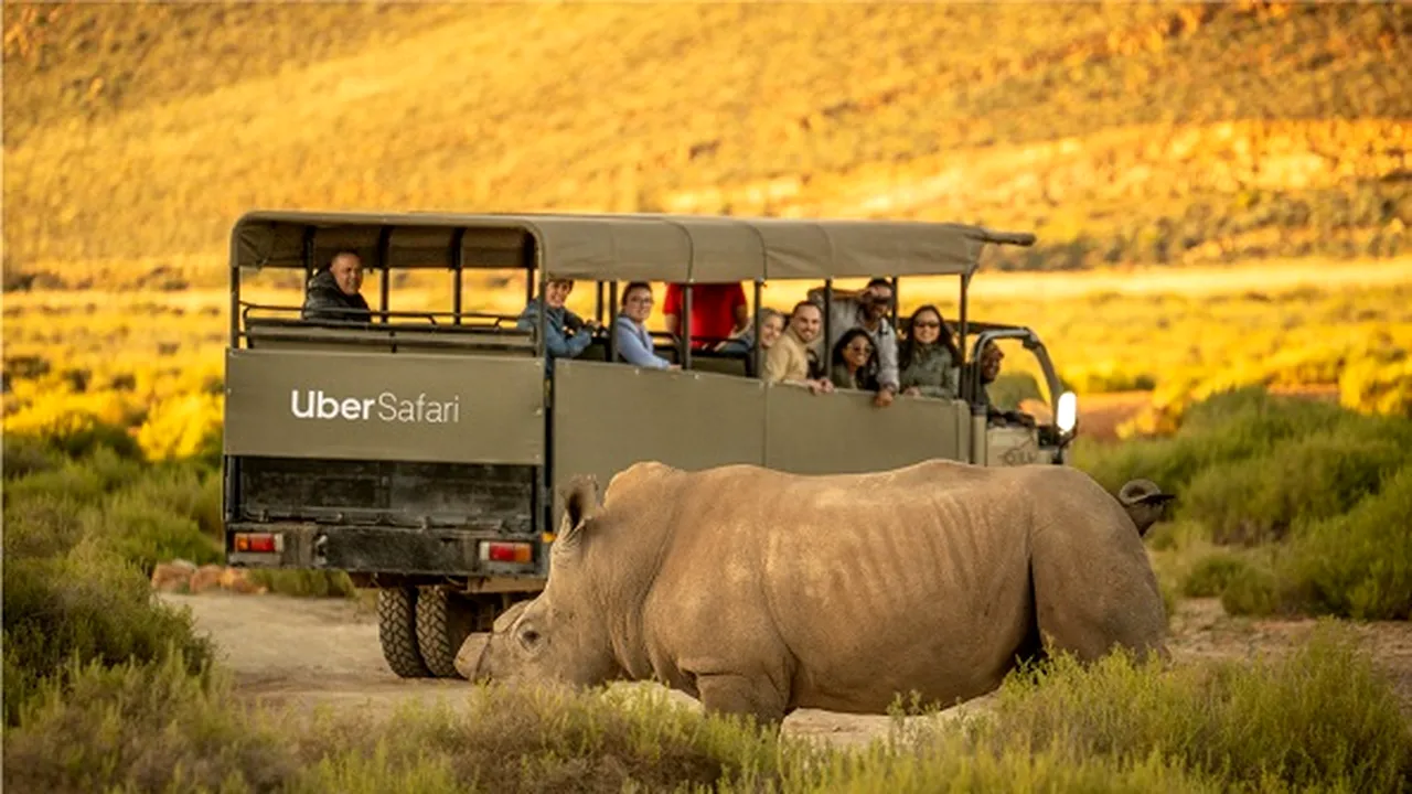 Pe locuri, fiţi gata, Uber Safari!