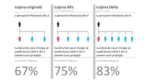 Tulpina Delta. La toamnă, cazurile de COVID ar putea creşte din nou. Recomandarea unui expert în sănătate publică