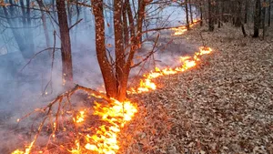 Timiș. Pompierii au intervenit, în aces weekend, în 190 de situații de urgență. 7 terenuri agricole, dar și 6 locuințe au luat foc