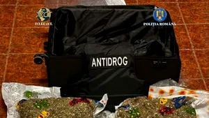 15 kilograme de canabis în saci vidați - descoperire a DIICOT la Cluj